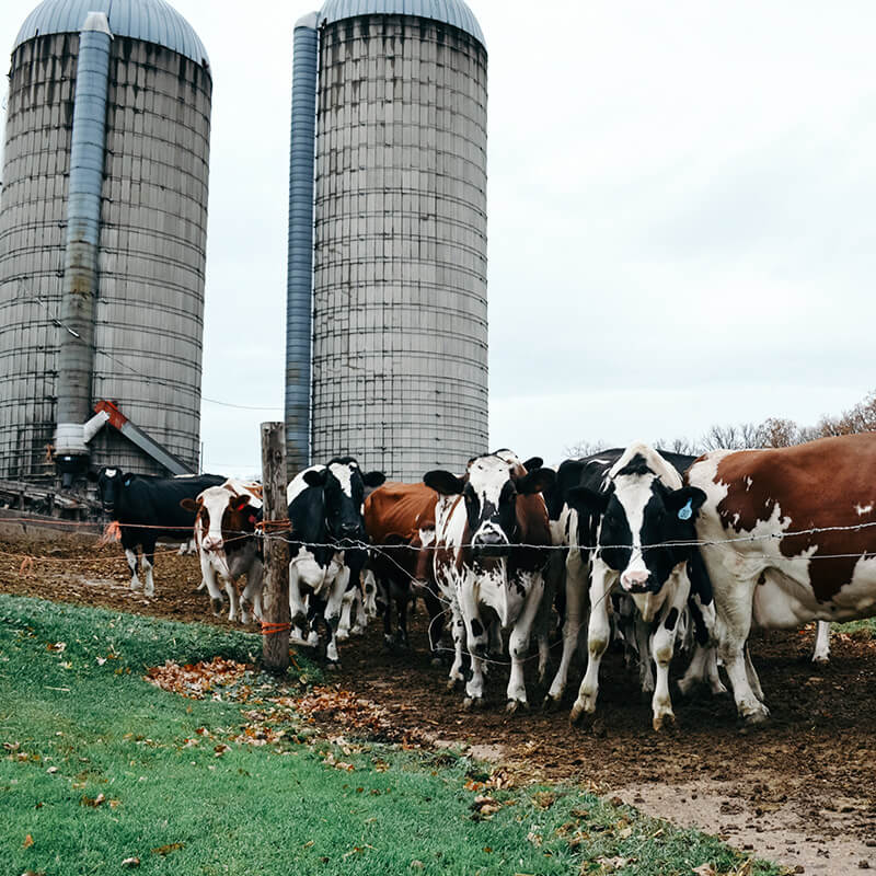 Ag-and-Farm-Supply